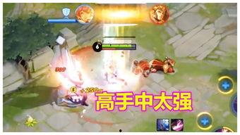 教官爆料凤求凰视频播放,凤求凰视频幕后真相，播放背后隐藏的秘密  第3张