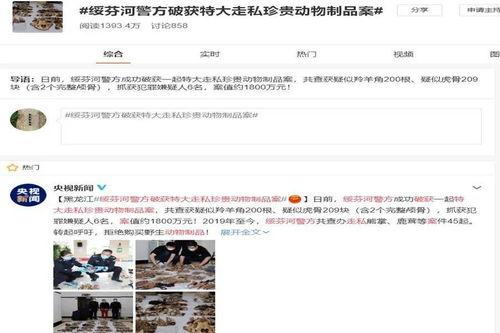 绥芬河媒体爆料最新消息,媒体披露惊人内幕，事件真相令人震惊！  第1张